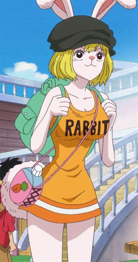 one piece carrot sex|One Piece